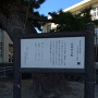 長島の大松案内板