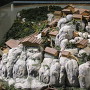 苗木城模型