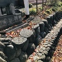 中野陣屋県庁記念館の西側の石積み？