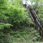 三ノ曲輪へ降りる木製階段