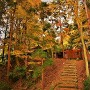 中野城　紅葉の風景