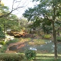 下茶屋公園の池