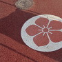 歩道の桔梗紋