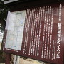 飯田城桜丸のイスノキの案内板