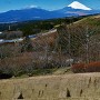 畝堀と富士