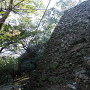 徳島城　本丸の石垣