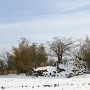 雪景色の主郭（西側から）