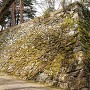 亀山城天守台石垣と石段