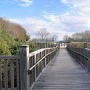 虎口への木橋