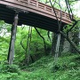 桜雲橋