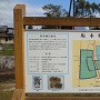坂本城跡