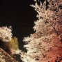 桜の時期にライトアップされた馬場跡(2007年）[提供：一般社団法人こもろ観光局]
