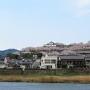 吉井川越しにさくらまつりの津山城