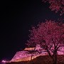 米子城跡ライトアップ2020～春の陣～[提供：米子市]
