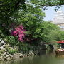 5月の姫路城