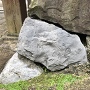 東門の石垣の石に化石
