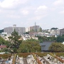 浄泉寺上方からの眺望