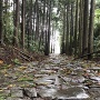 旧東海道の石畳
