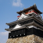 天守を仰ぎ見る