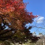 紅葉と石川門