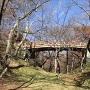 内堀からの桜雲橋