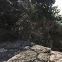 琉球石灰岩の岸壁