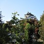 天守(福知山城駐車場より)