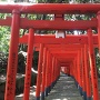 本丸下にある名島豊川稲荷神社の千本鳥居