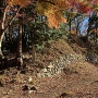 秋の小谷城本丸石垣