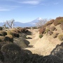 畝堀と富士山