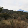本曲輪から善福寺曲輪と富士山を望む