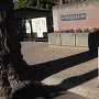 園芸高校正門の石碑