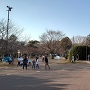 夢見ヶ崎公園