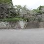 岩坂門跡と石垣
