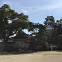 烏 岡山の城