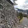 桜の丸西側石垣