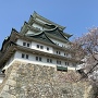 桜と名古屋城天守閣