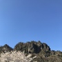 岩櫃山と桜
