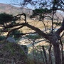 古城の道(尾根道)から見える阿賀川