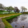 井田川の土手と本丸の水堀