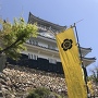 山頂にそびえ立つ岐阜城