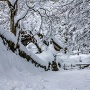 百彩寺 雪景色