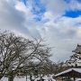 彦根城 雪景色