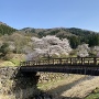 御屋形橋と桜風景