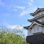 忍城三階櫓