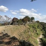 岡城　城跡風景
