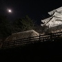豊川沿いから眺める本丸（夜）