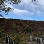 長寿寺の北東のお墓から見た上館切岸