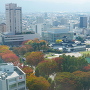 富山市役所展望台からの城址公園紅葉