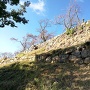 本丸月見櫓跡下からの石垣